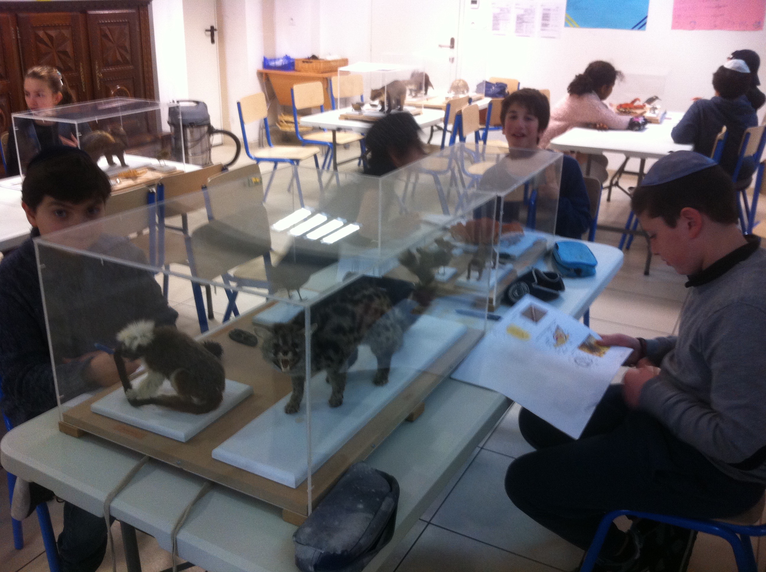 GAN YOSSEF BORDEAUX Ecole Edmond J. SAFRA et Collège Hammel - photo 20