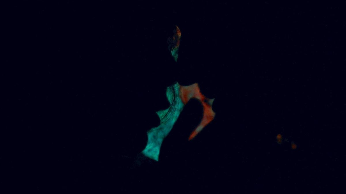 TRANCE THERAPY, LE FILM - photo 7
