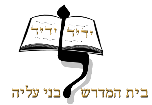 Logo Yedid Leyedid