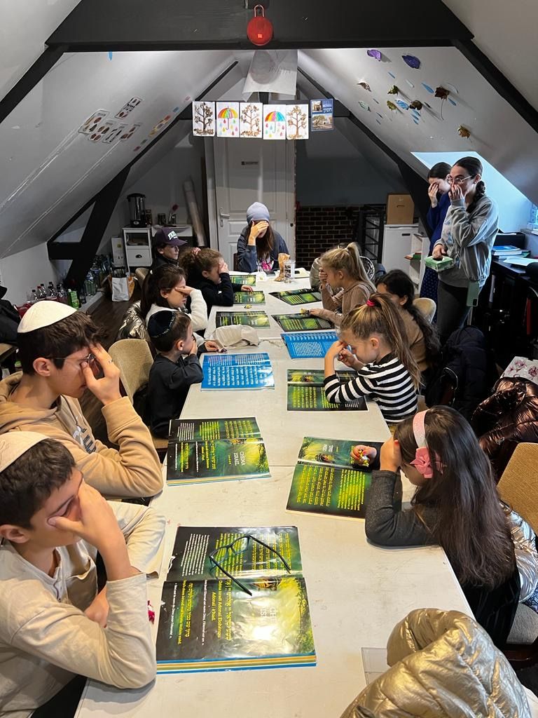 LA MAISON DE NOS ENFANTS DEAUVILLE - TROUVILLE - photo 8