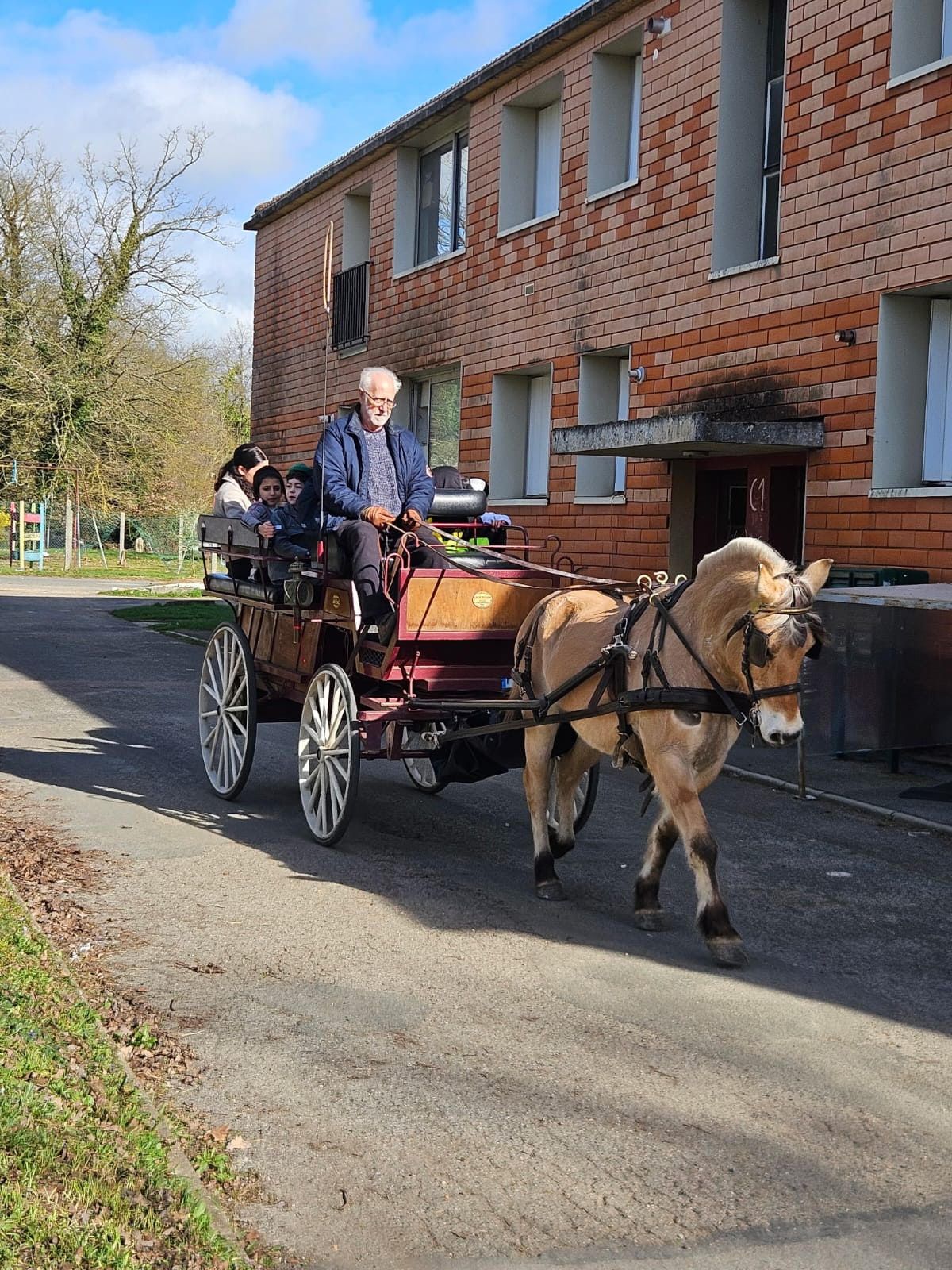 NER ELIAHOU - ARMENTIERES - photo 9