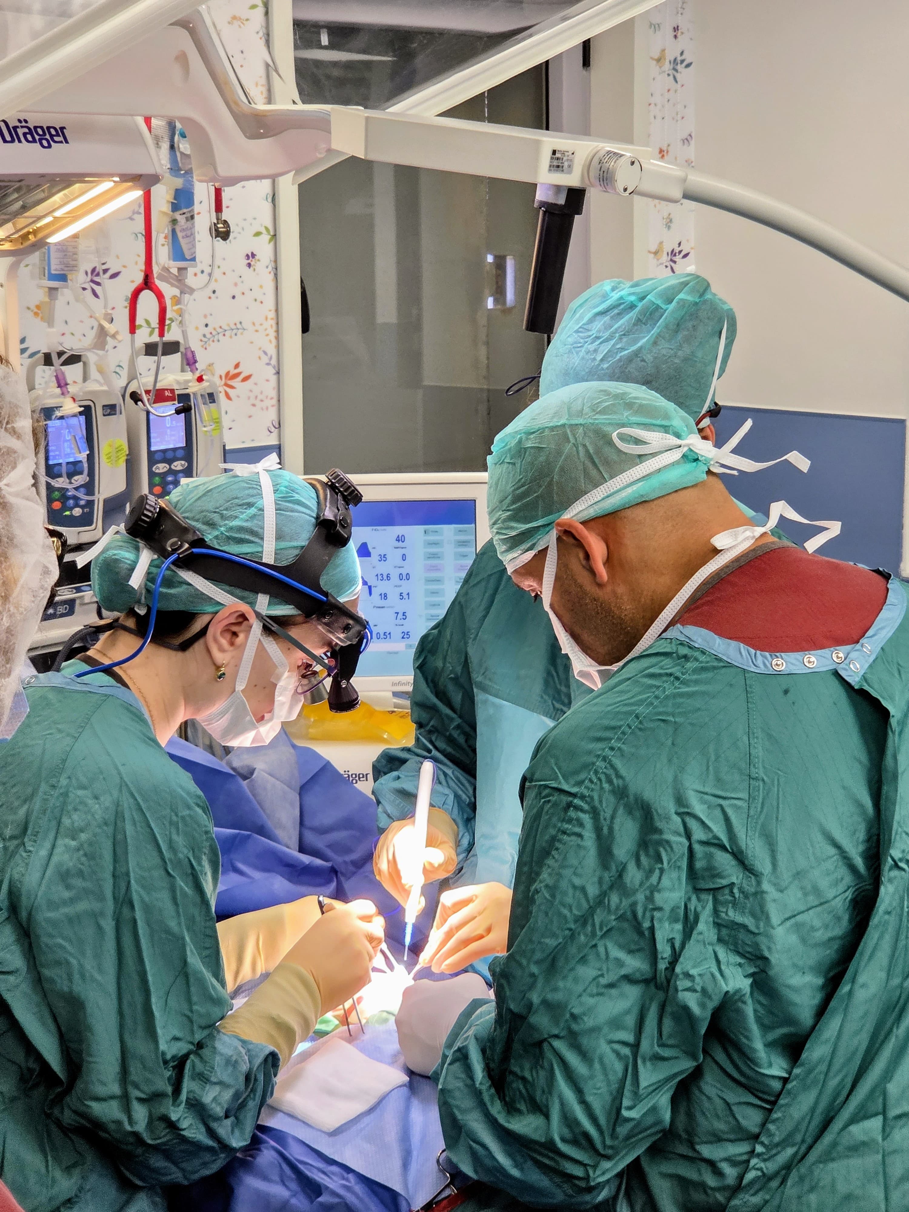 LES AMIS FRANCAIS DE L'HOPITAL LANIADO - photo 2