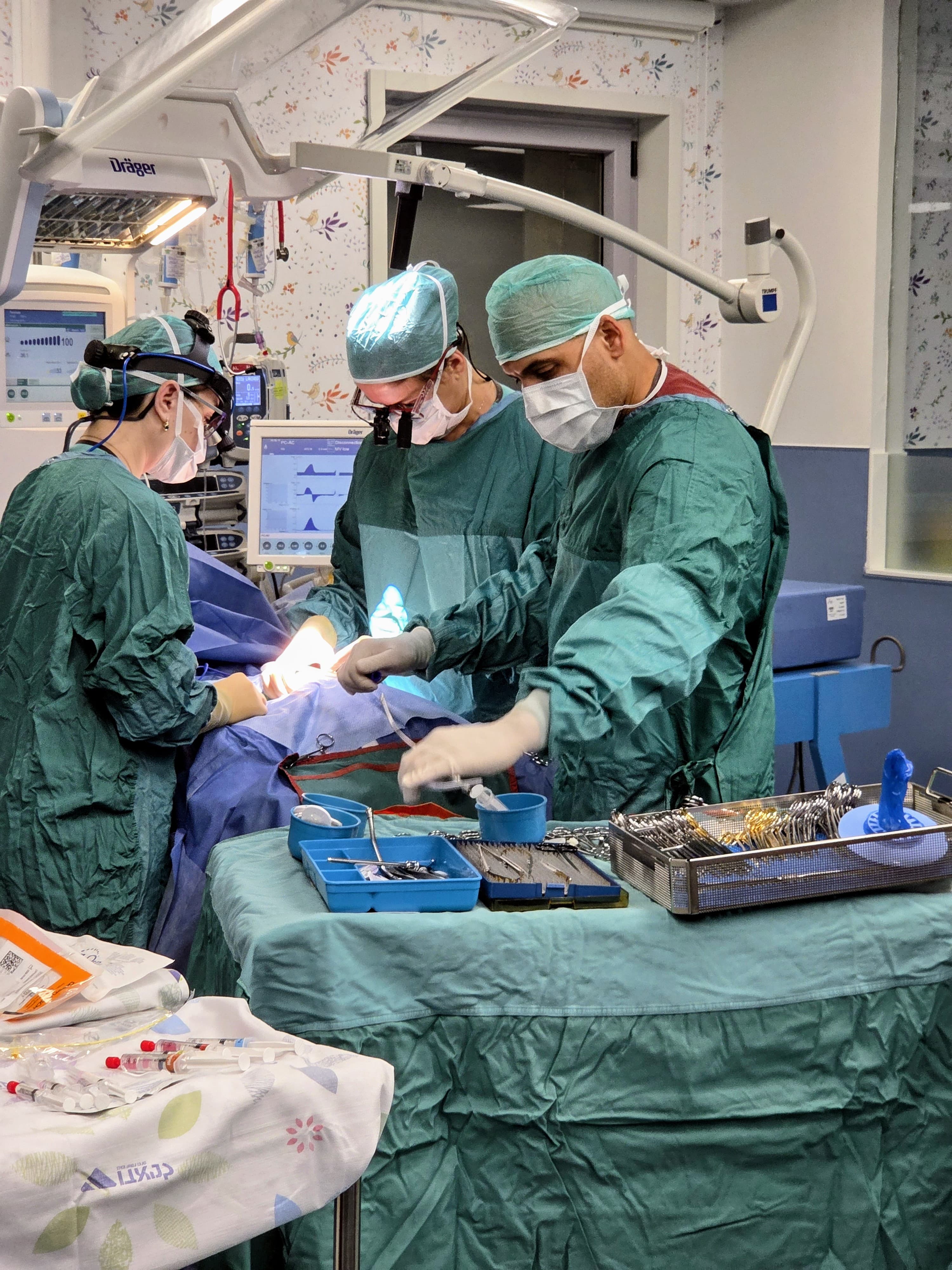 LES AMIS FRANCAIS DE L'HOPITAL LANIADO - photo 1