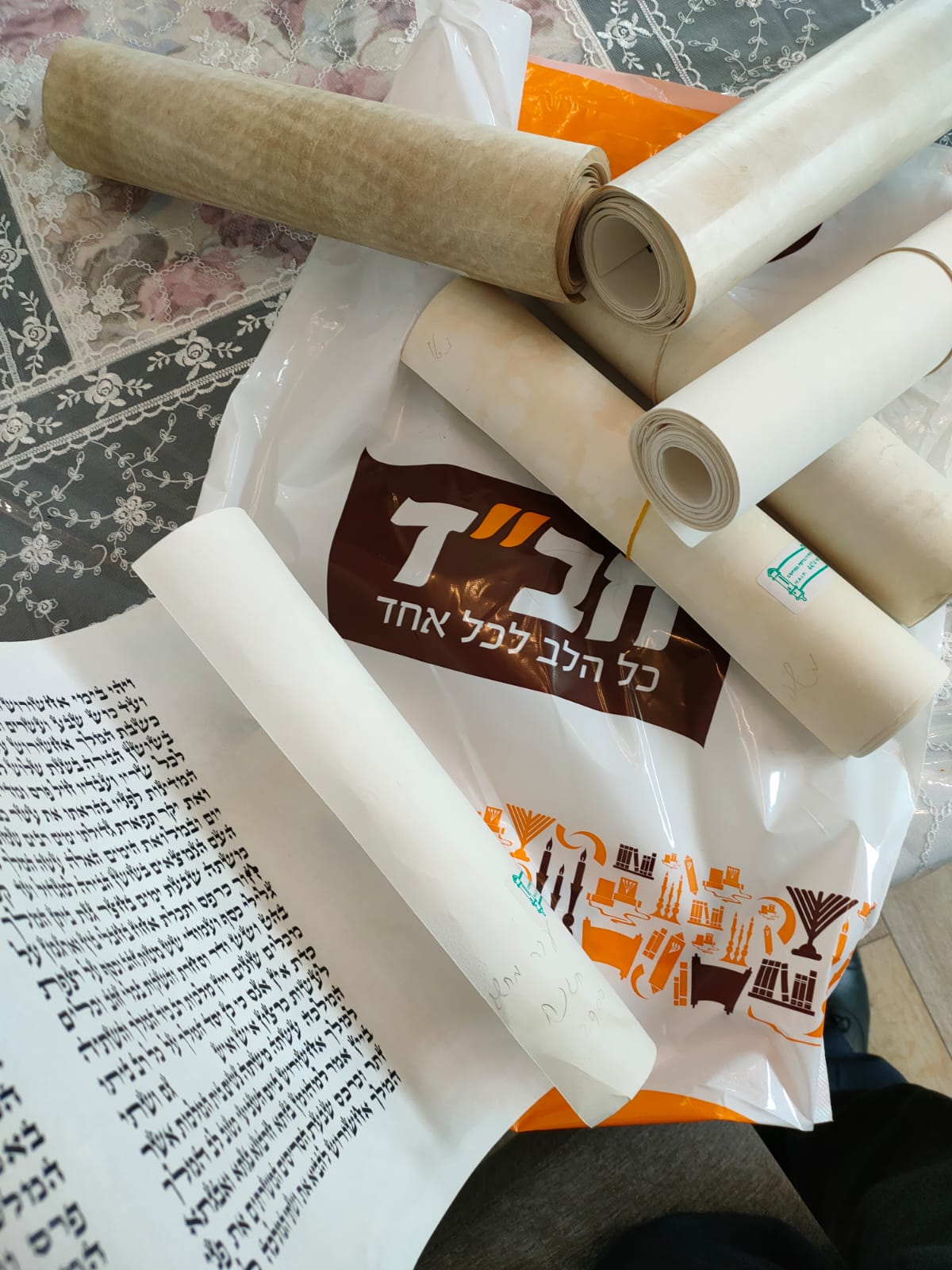 BETH LOUBAVITCH BASTILLE - photo 7