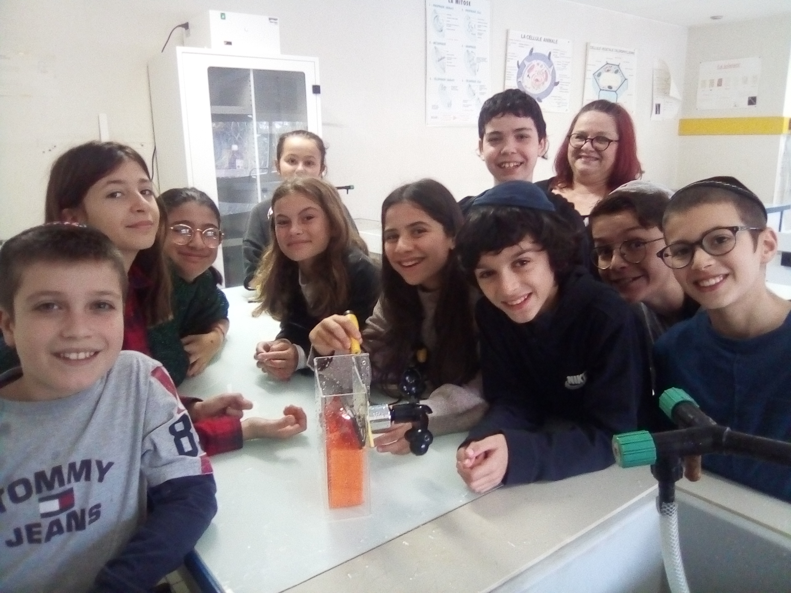 OHR TORAH TOULOUSE - photo 13
