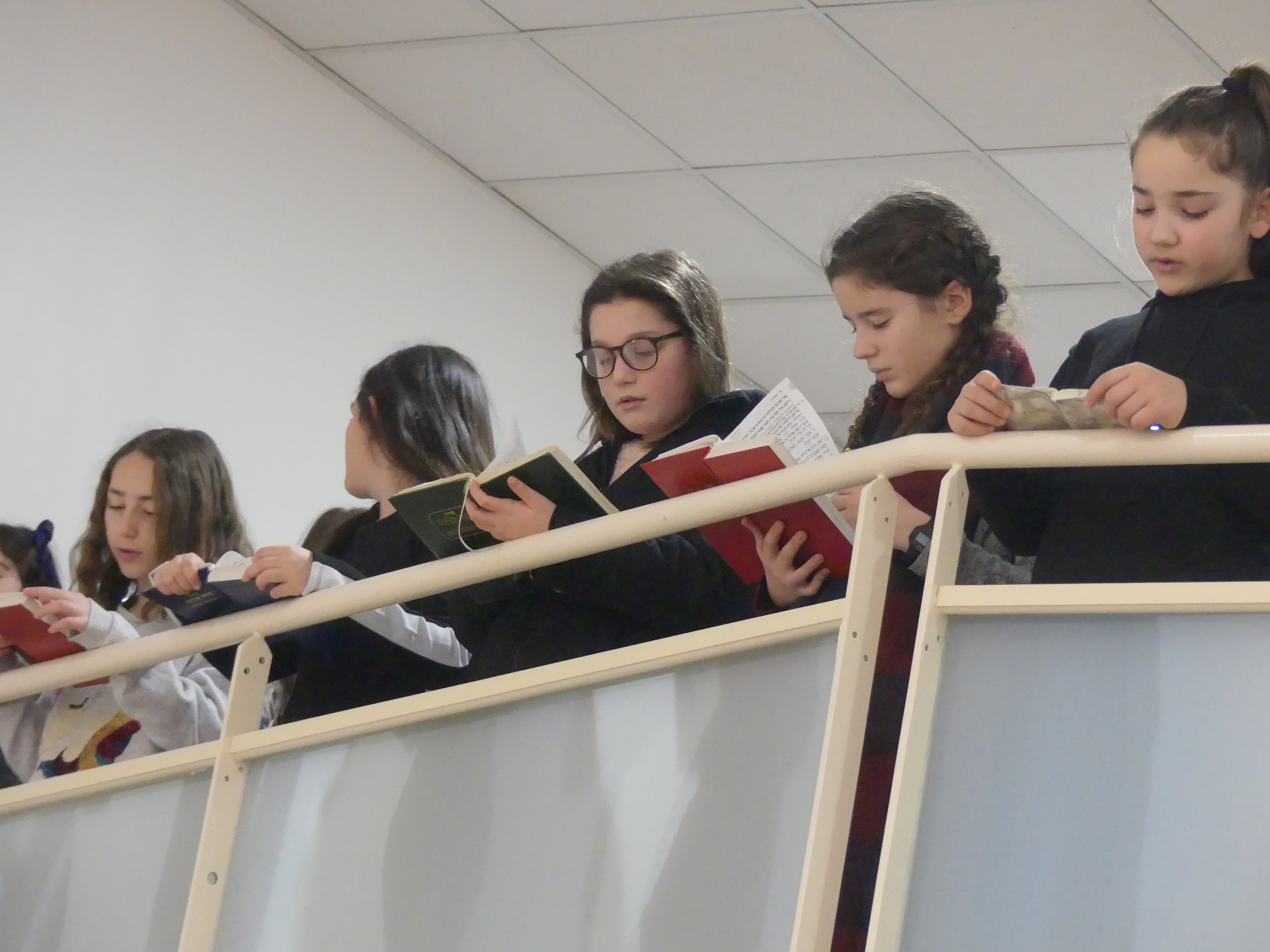 OHR TORAH TOULOUSE - photo 1