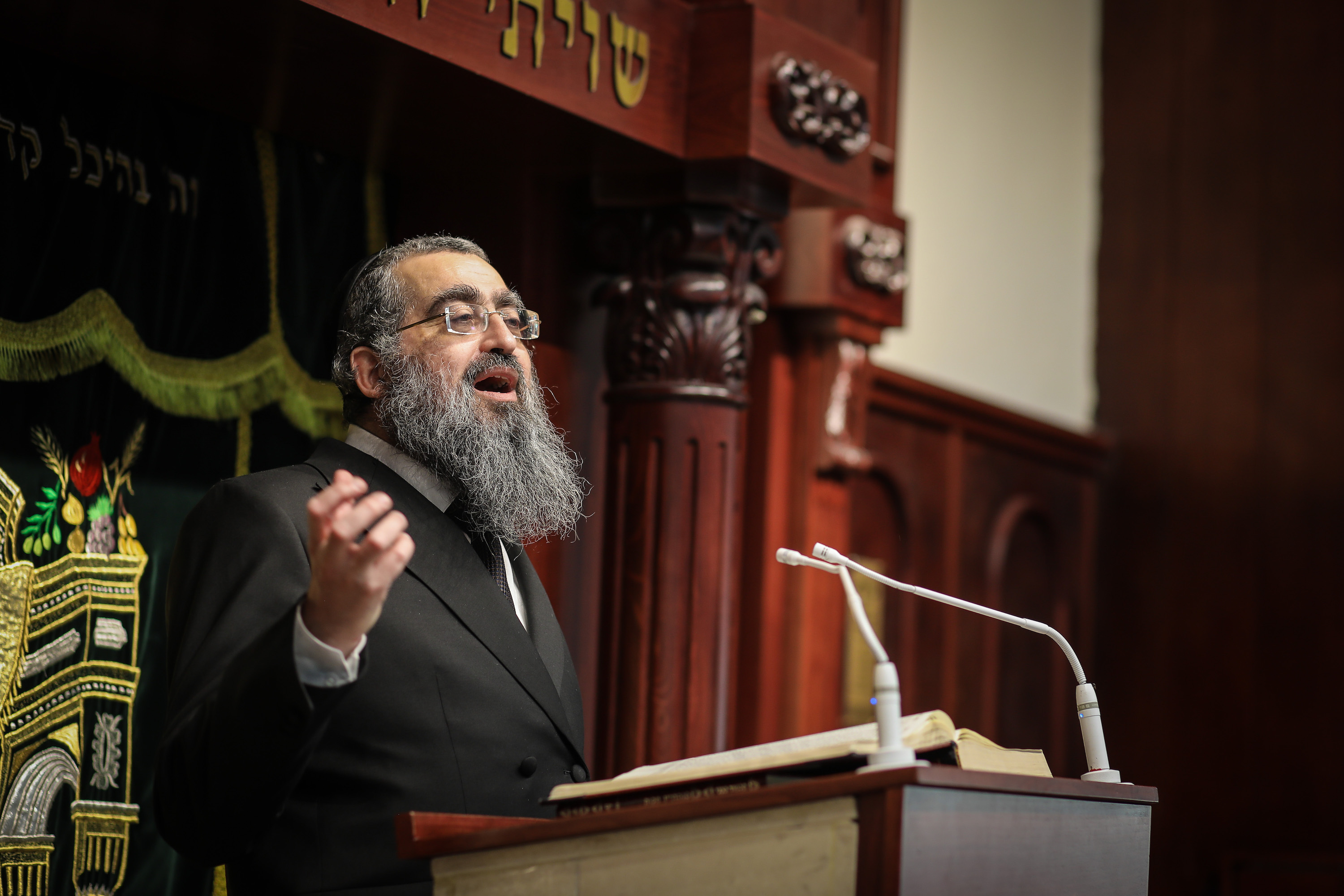 DAAT HAIM - photo 3