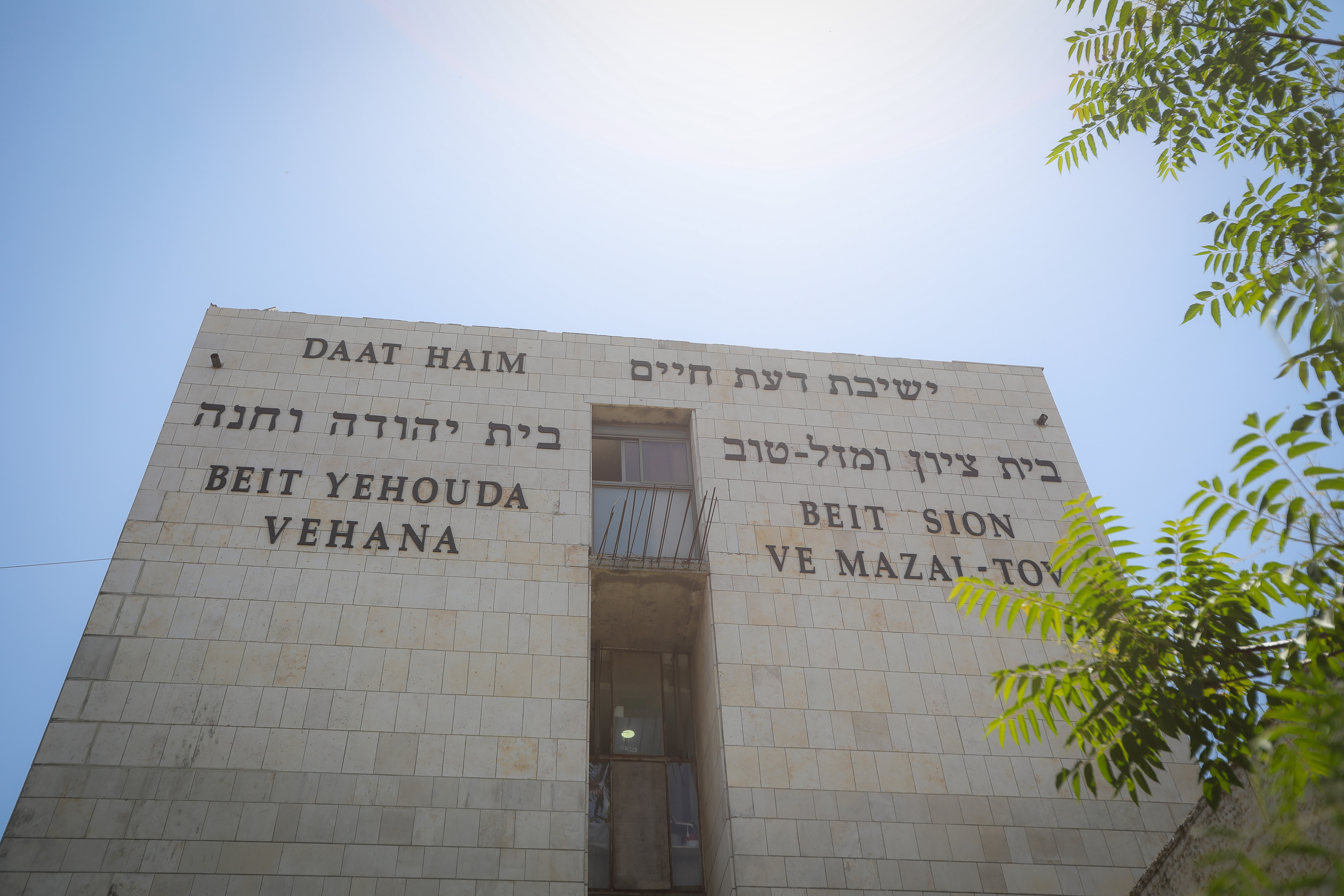 DAAT HAIM - photo 1