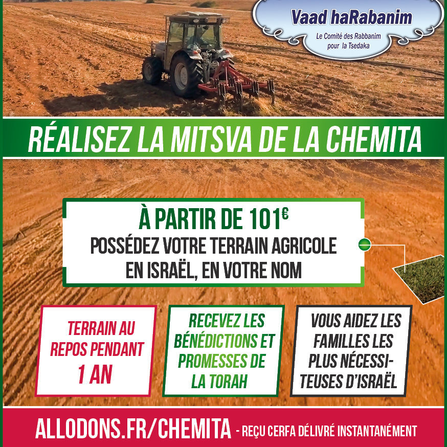 Réalisez la mitsva de la Chemita avec un don de 101 € 