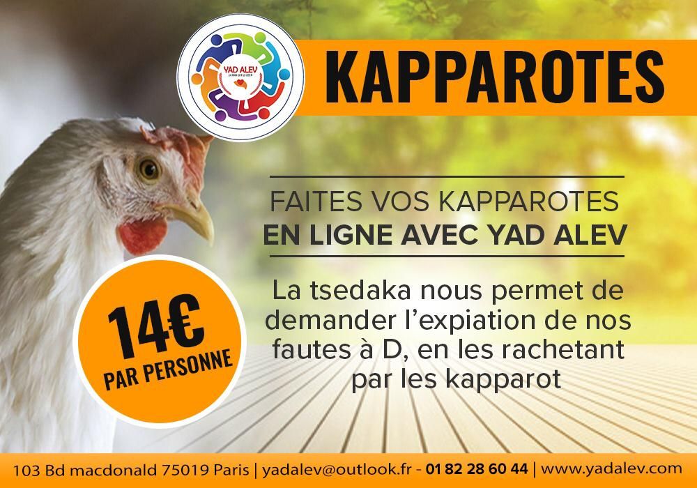 kapparot - photo principale