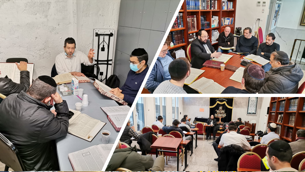 OR TORAH LE 24  - photo 6