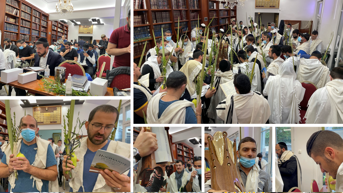 OR TORAH LE 24  - photo 4