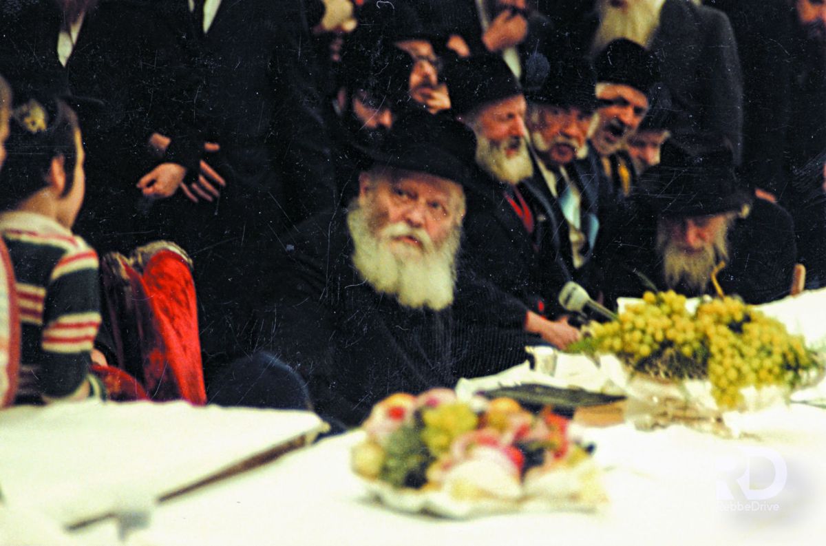BETH LOUBAVITCH PANTIN - photo 21