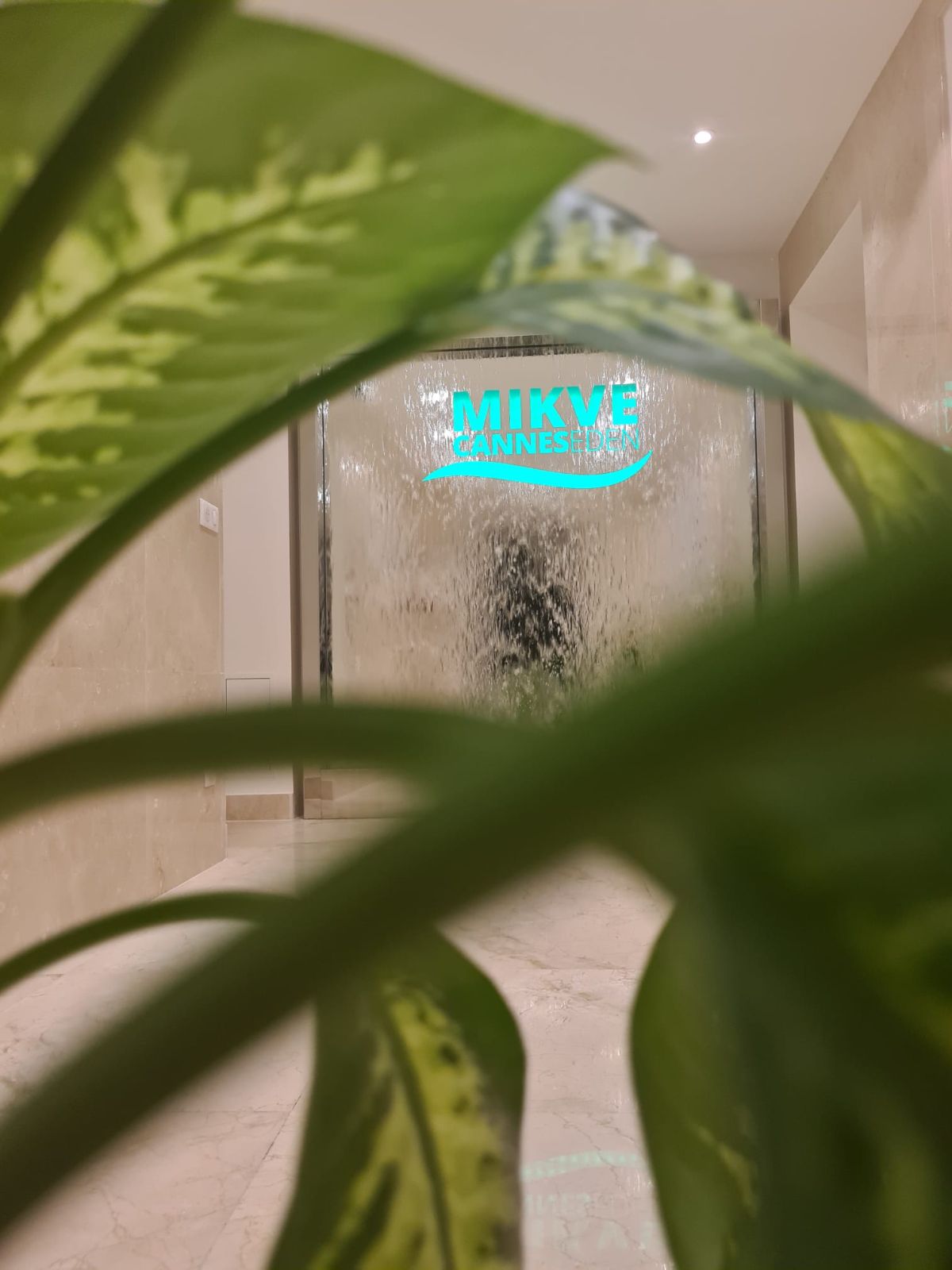 Mikvé Cannes Eden - photo 8
