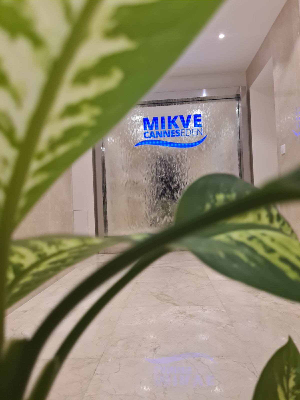Mikvé Cannes Eden - photo 7