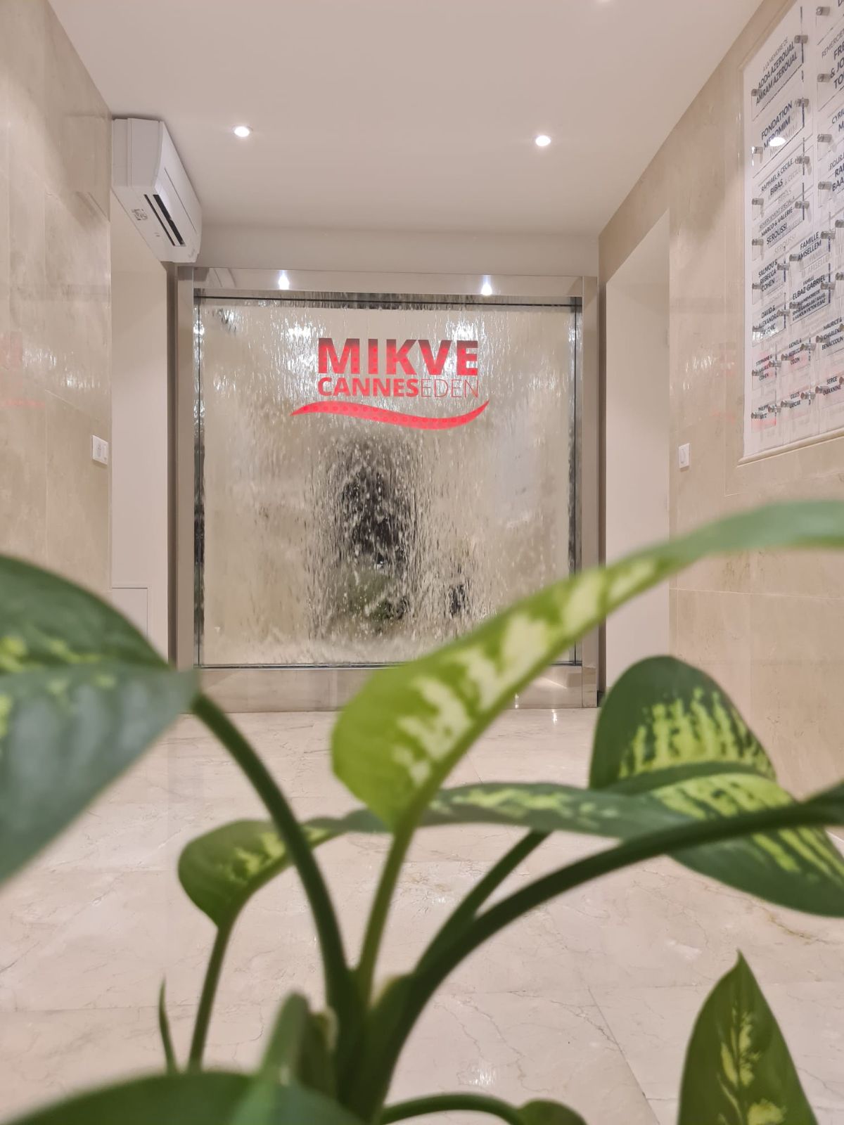 Mikvé Cannes Eden - photo 6