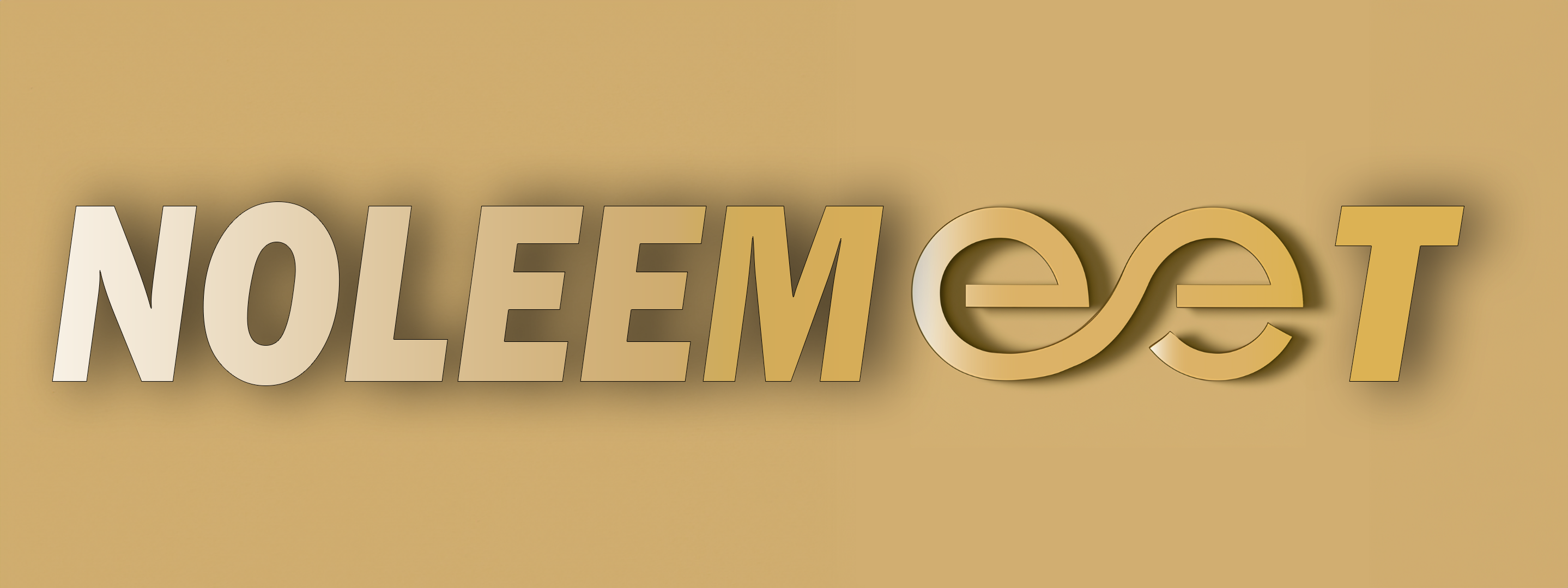 Logo Noleemeet