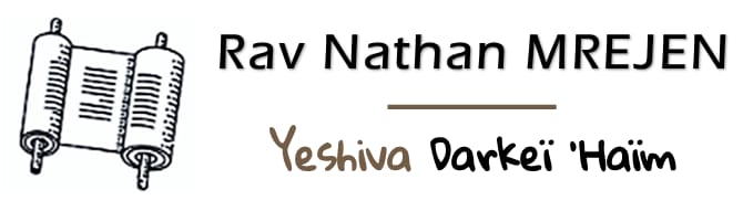 Centre Mondial de l'Etude - Ohel Yossef RAV MREJEN