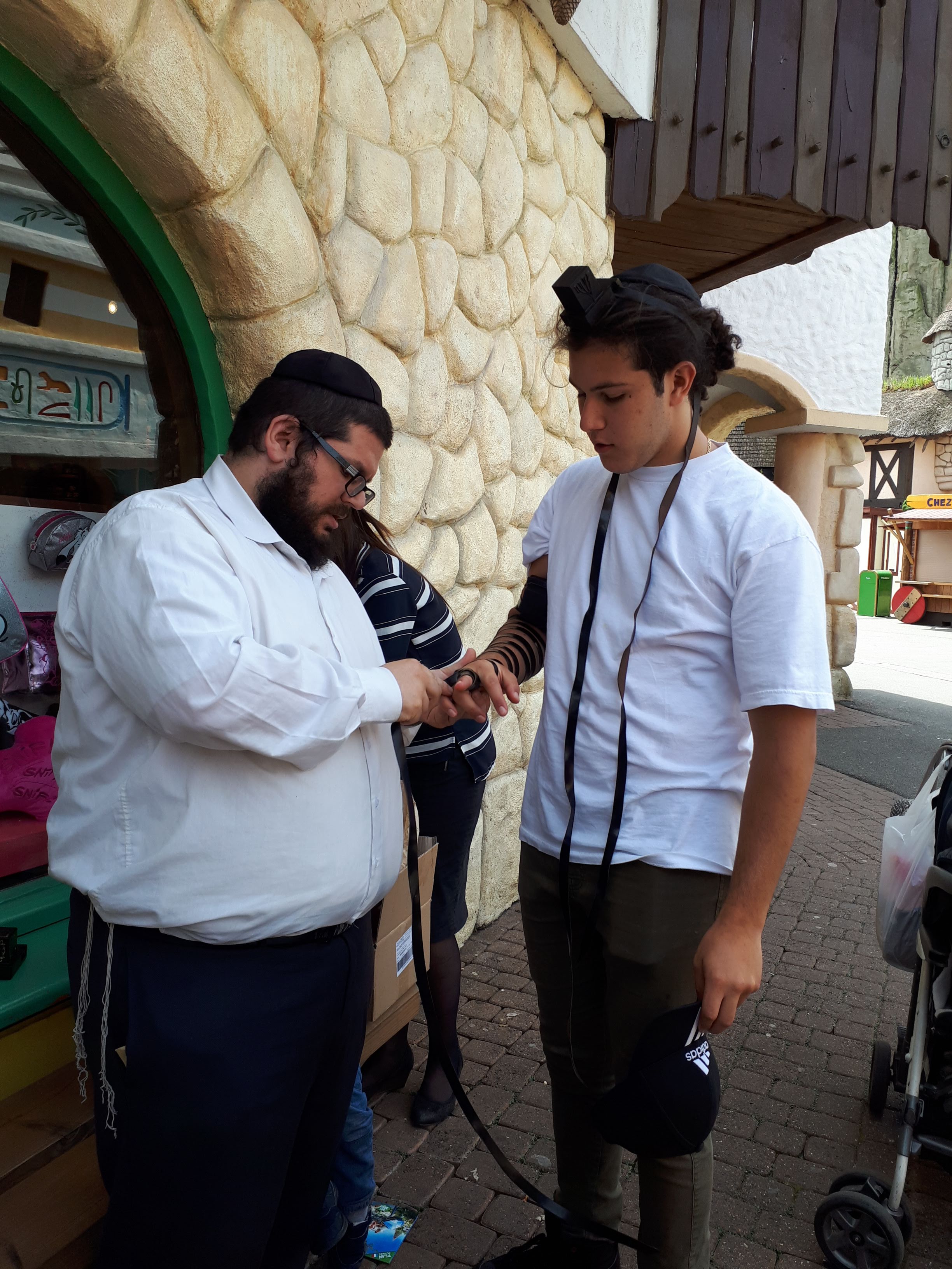 LEHAIM Torcy - photo 14
