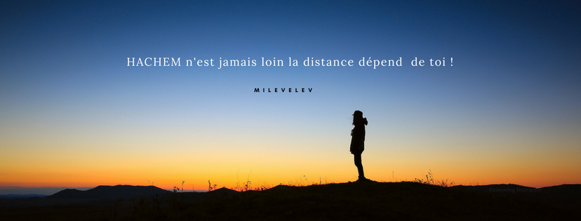 MILEVELEV - photo principale
