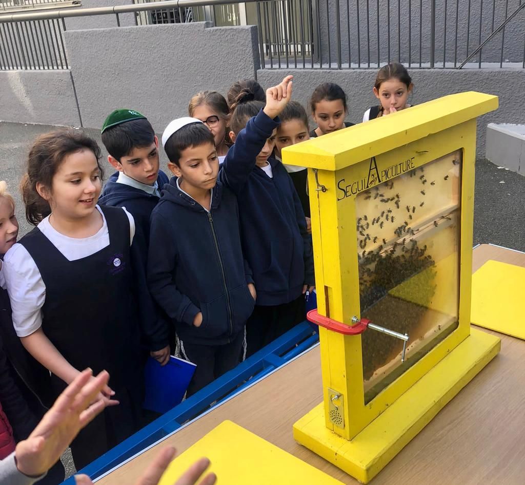 Ecole Tsohar - photo 3