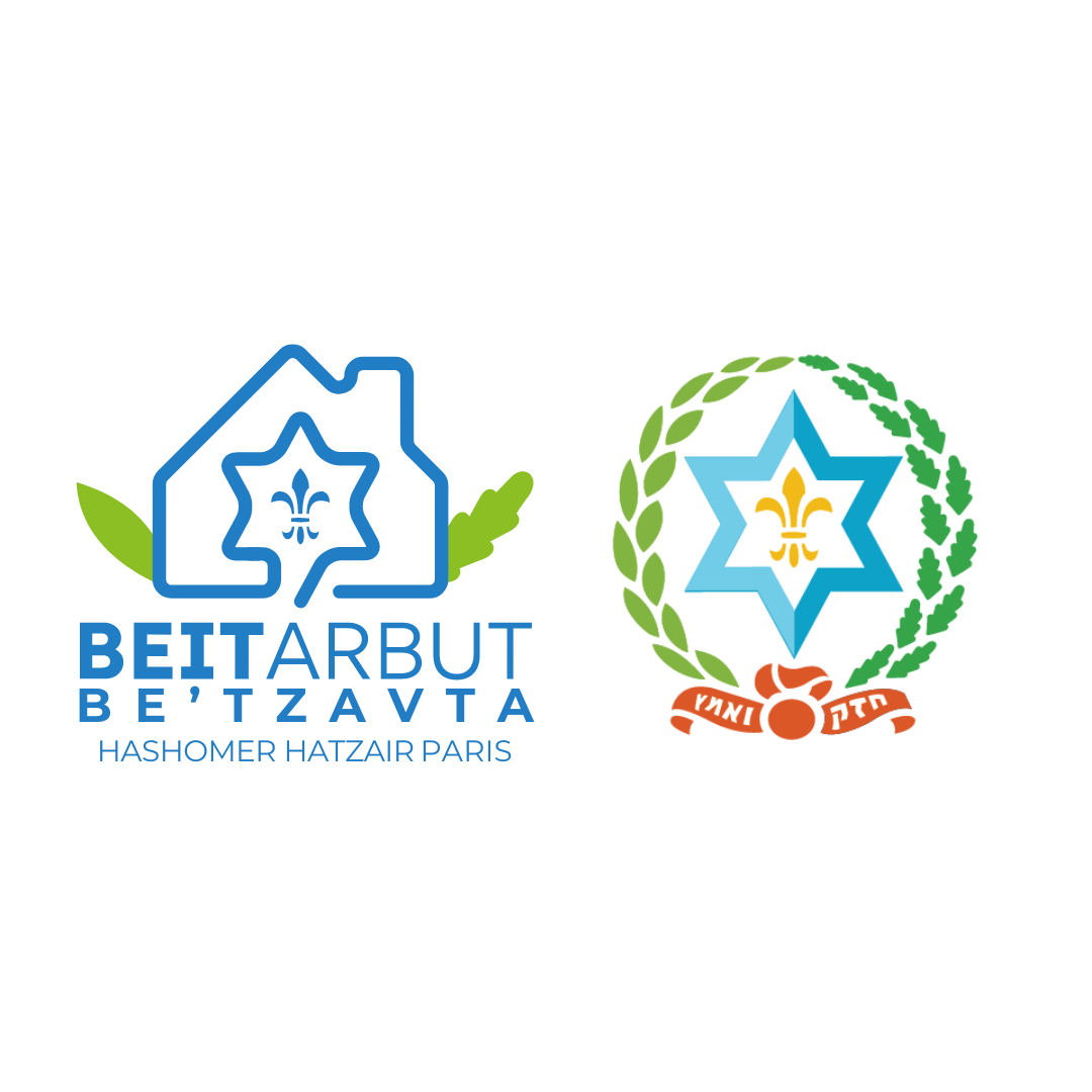 Logo Hachomer Hatzair