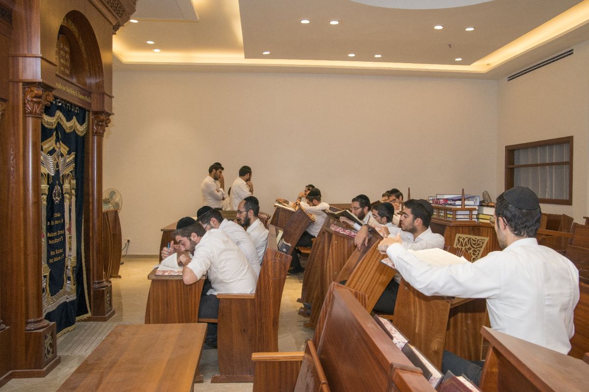 TORAT ELIAHOU - photo 5