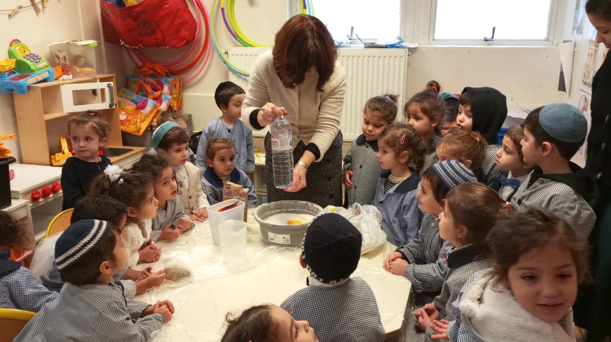 IGOUD HAREDI - photo 7