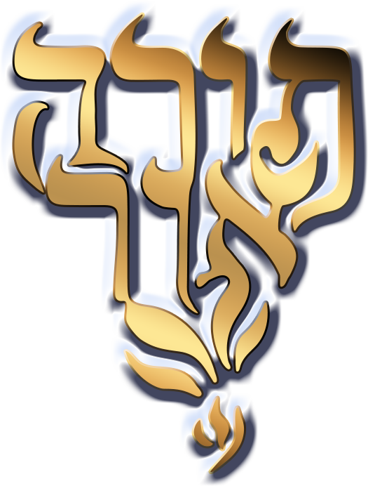 Daat Torah (Bonneuil)