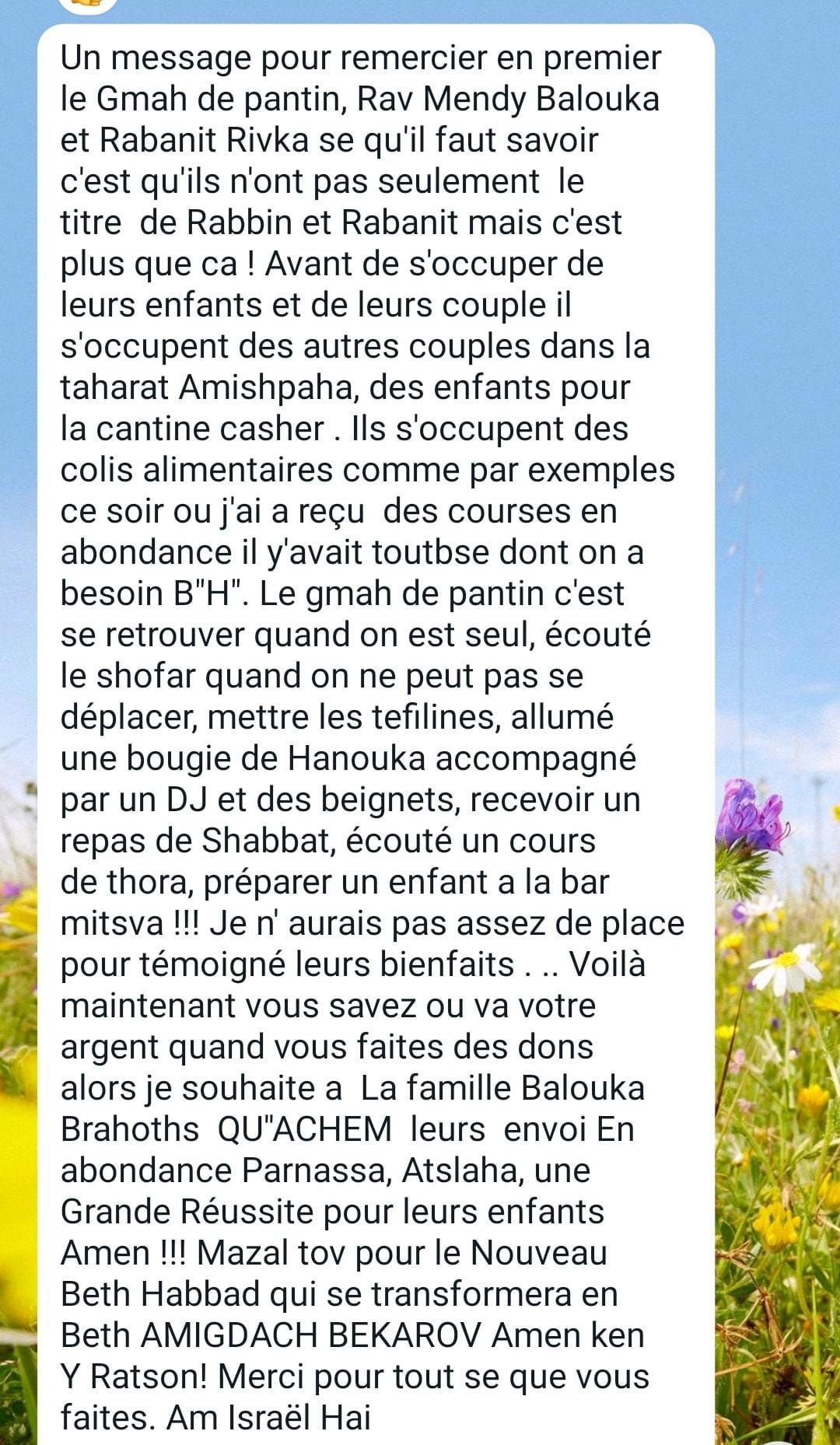 BETH LOUBAVITCH PANTIN - photo 13