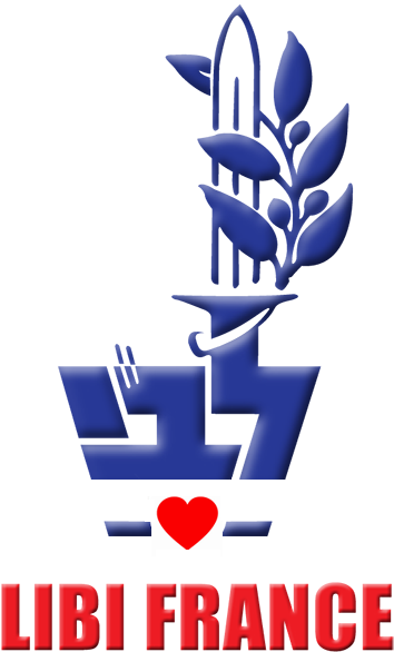 Logo Libi France