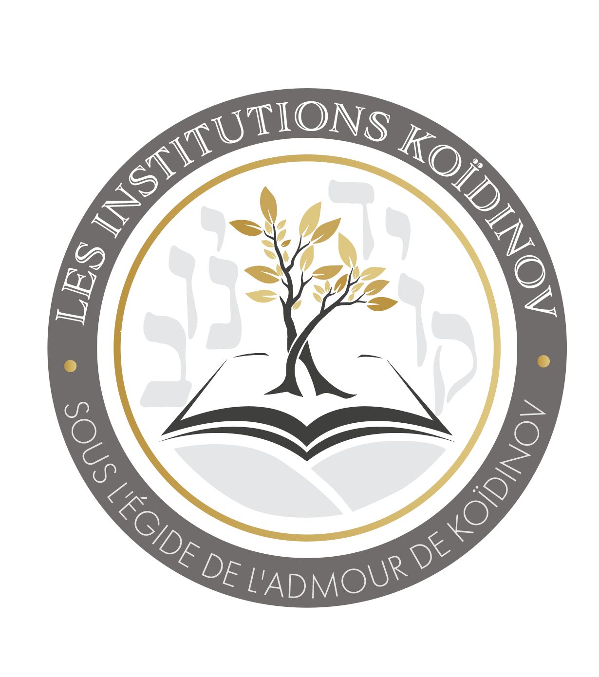 Logo Institutions Koidinov 