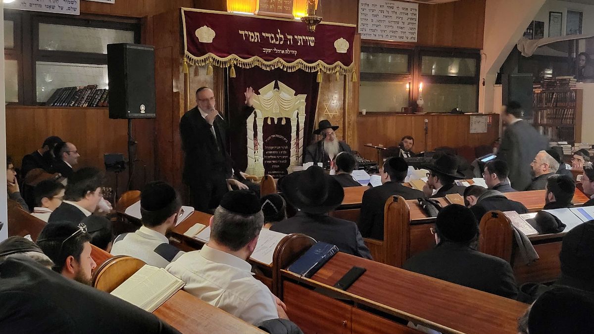OHALEY YAACOV - photo 3