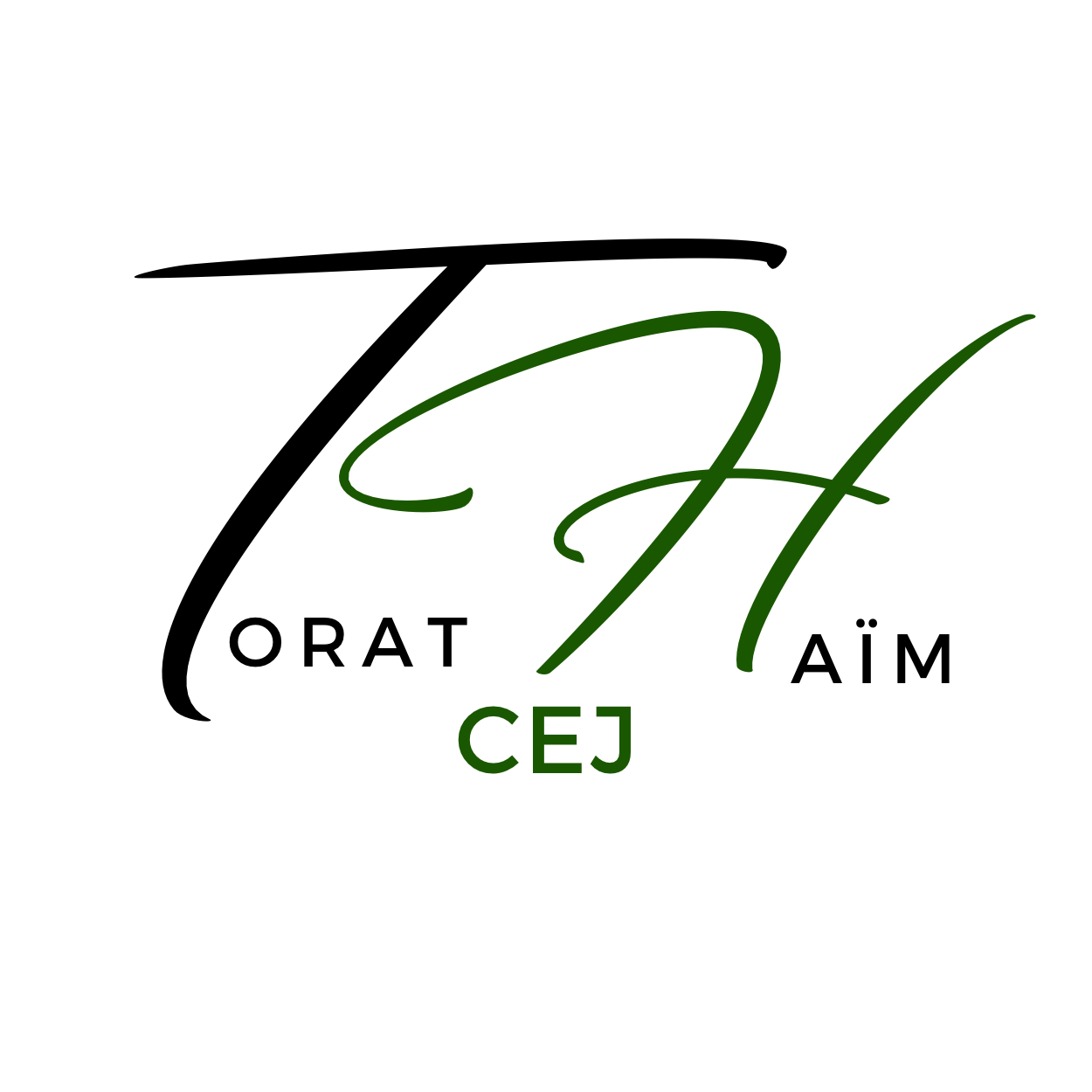 Logo CEJ TORAT HAIM