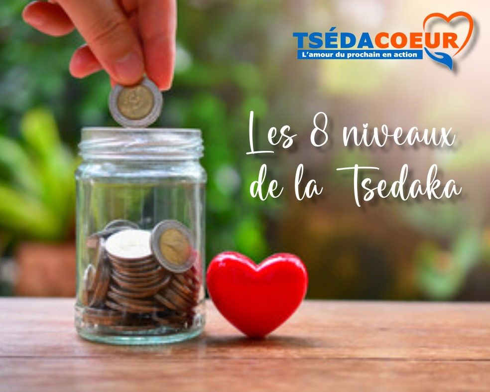 TSEDACOEUR  - photo 2
