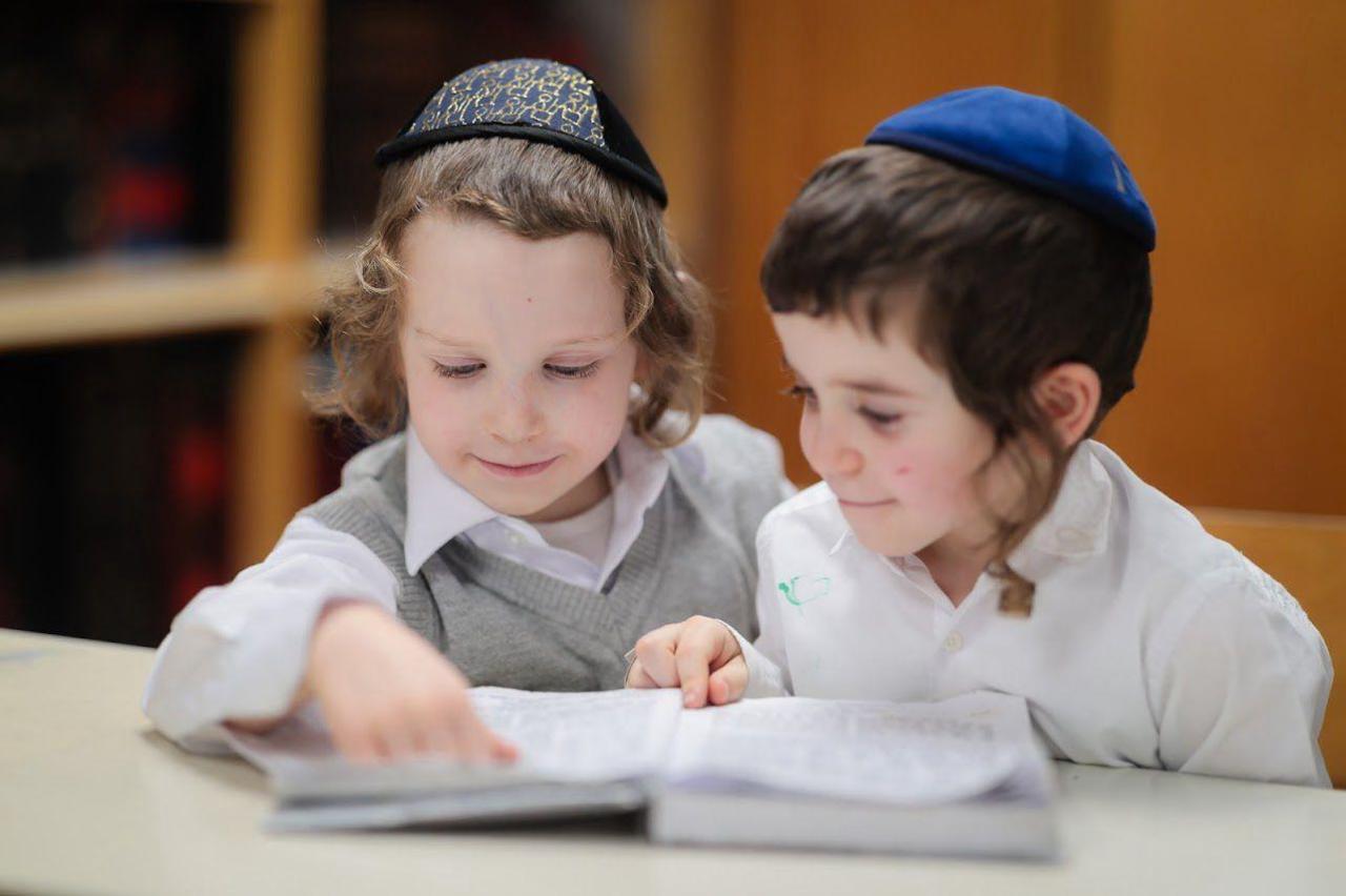 IGOUD HAREDI - photo 11
