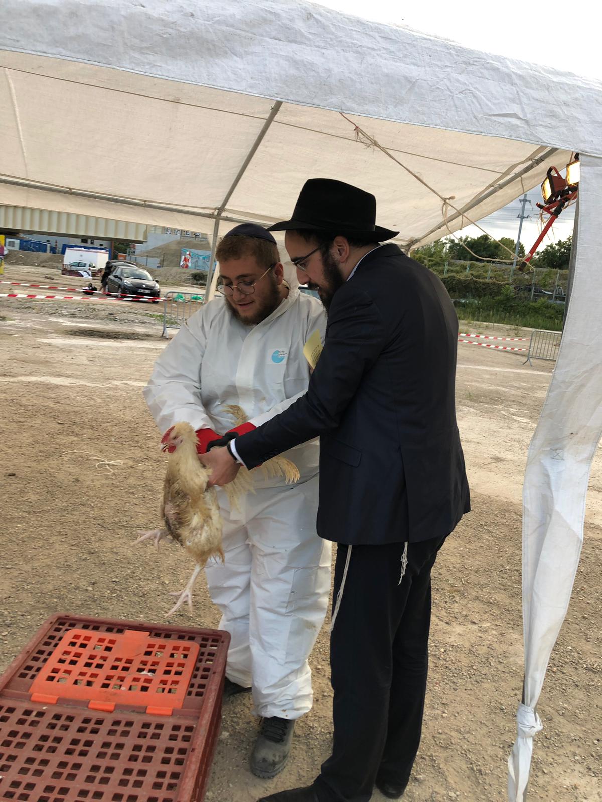 Beth Loubavitch Le Plessis Robinson - photo 8