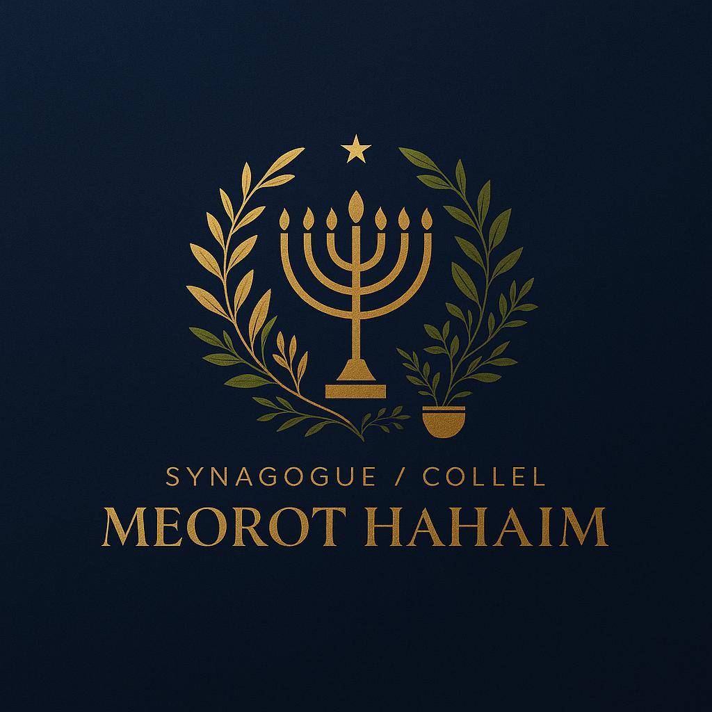 Meorot Hahaim - photo principale