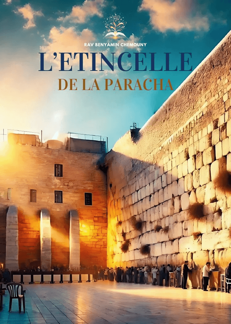 L'étincelle de la Paracha - photo 1