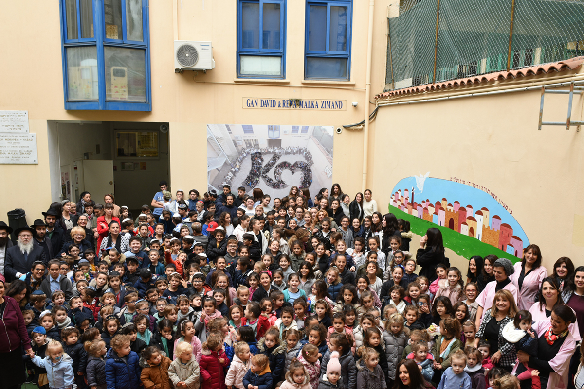 COSINICE - photo 3