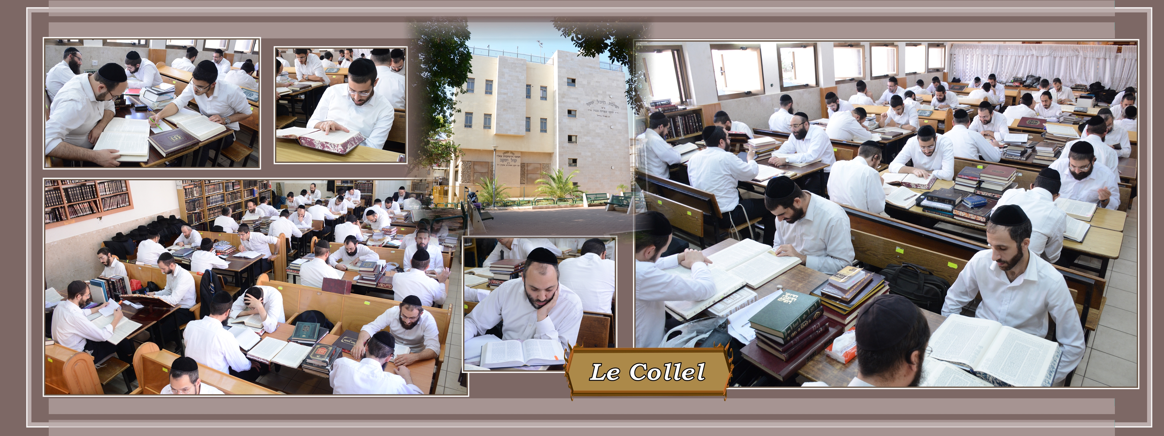 TICHRI - photo 31