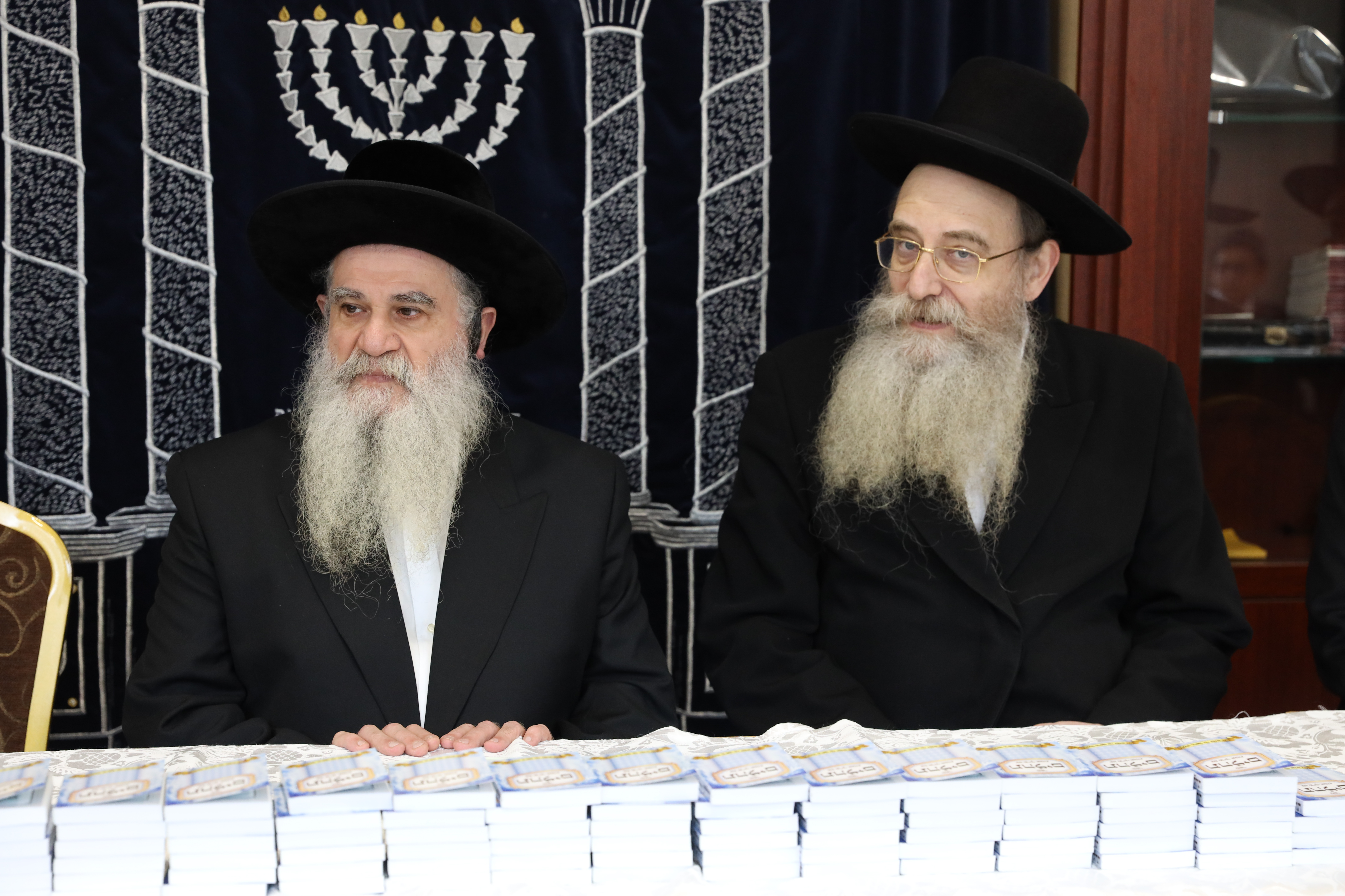 EMETH LEYAACOV - photo 7