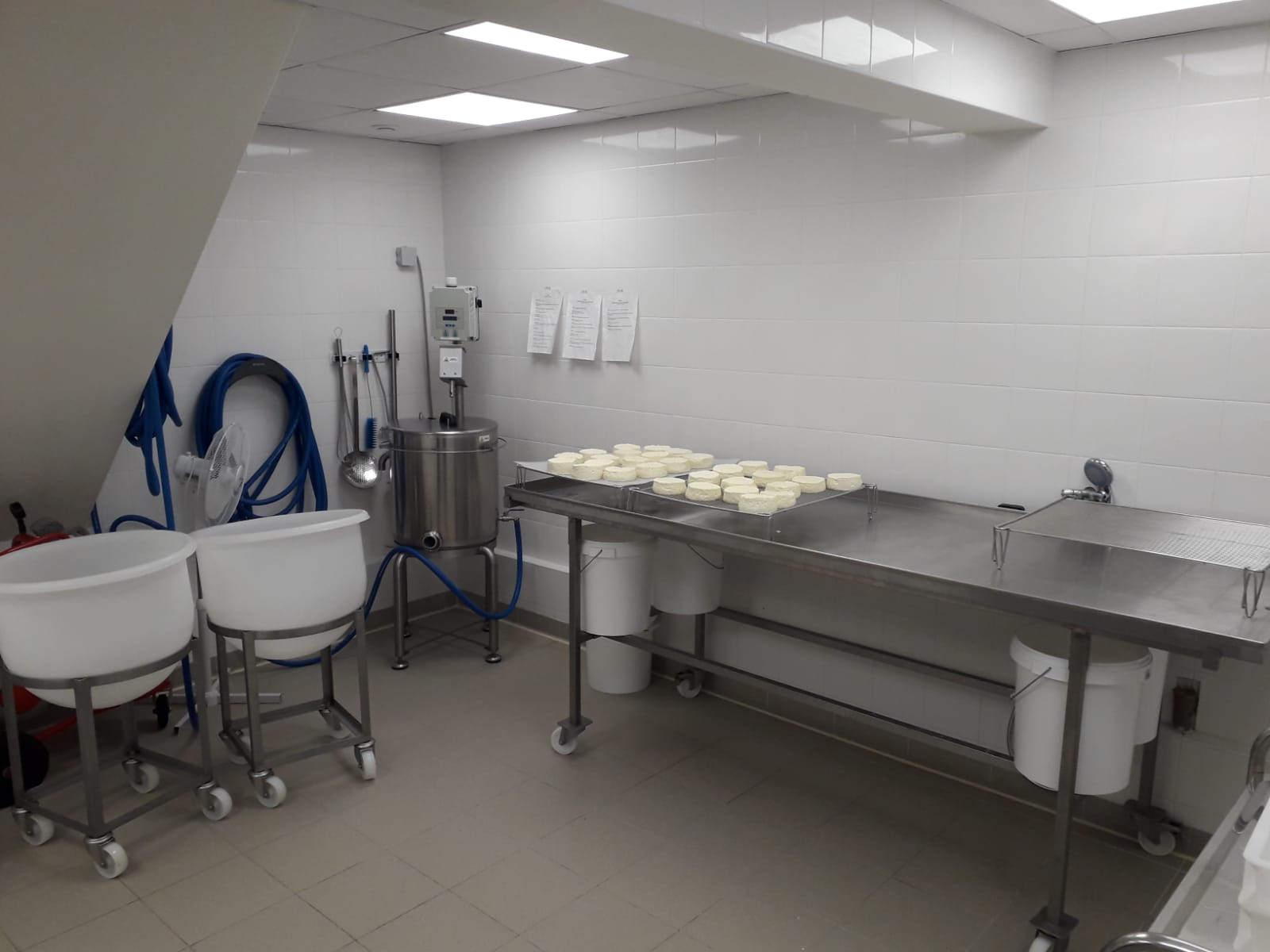INSTITUT CACHEROUT - photo 7