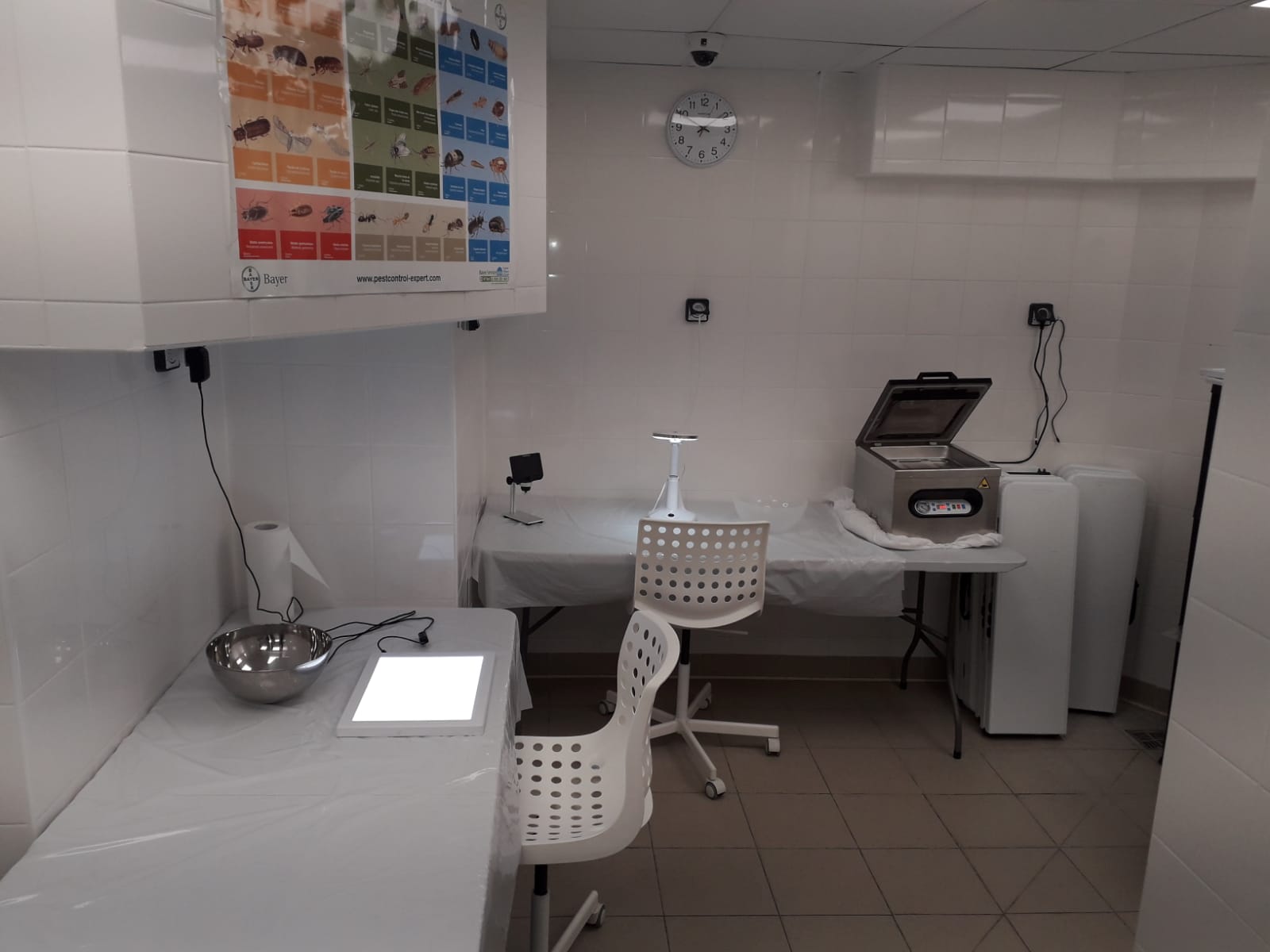 INSTITUT CACHEROUT - photo 2