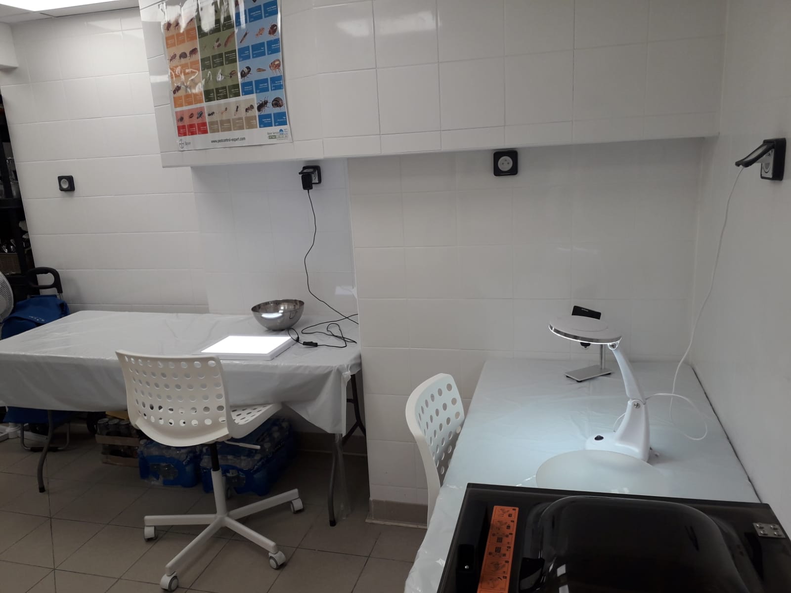 INSTITUT CACHEROUT - photo 1